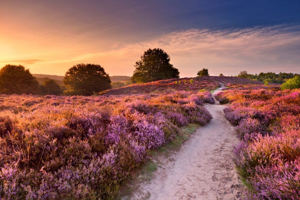 Voorthuisje.nl chalet wandelen Veluwe