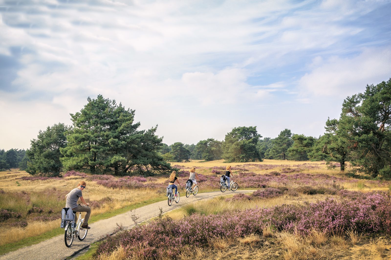 Voorthuisje.nl chalet fietsen Veluwe